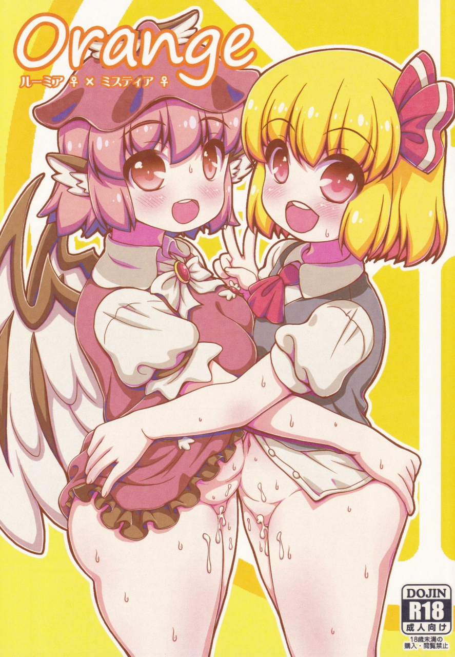 kouroumu-15-madou-shiryoushitsu-arashi-d-akira-emina-orange-touhou-project