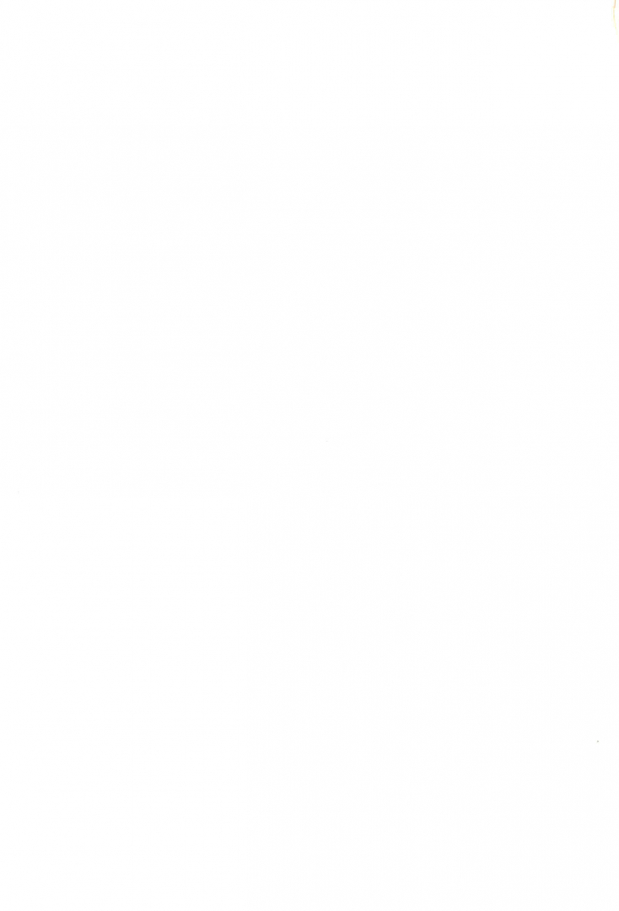 puniket-2-circle-leo-circle-shishimaru-kenya-raburin-one-piece-ojamajo-doremi