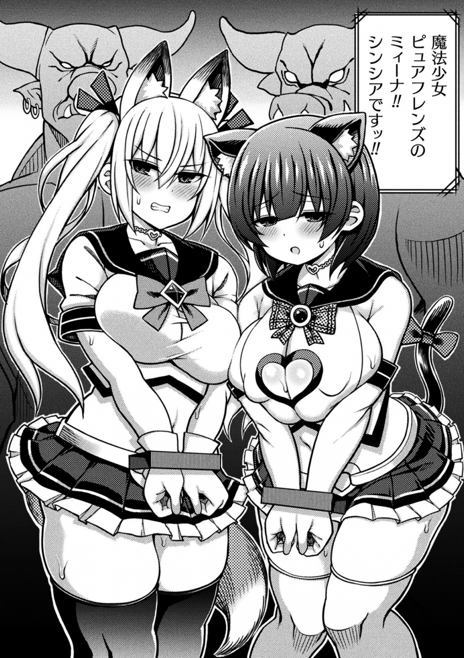 anthology-2d-comic-magazine-mahou-shoujo-seidorei-auction-e-youkoso-vol-1-digital