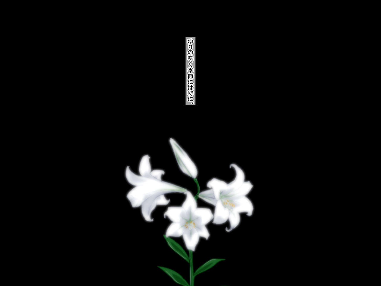 bonjin-do-tankuro-yuri-no-omokage-198x-kyouko