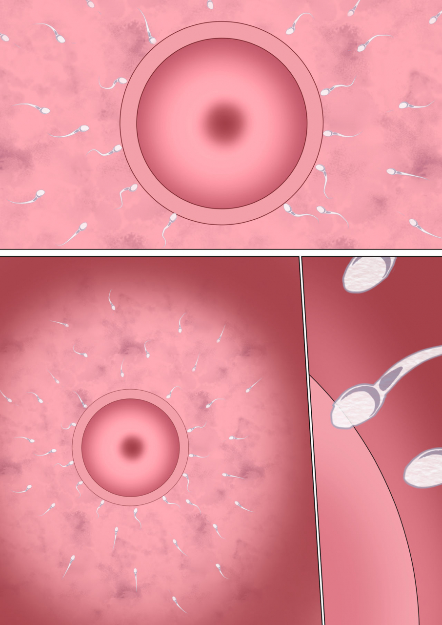 circle-spice-ijimerarekko-no-hahaoya-ga-hamedori-suru-batsu-game-ni-makikomareta-kekka