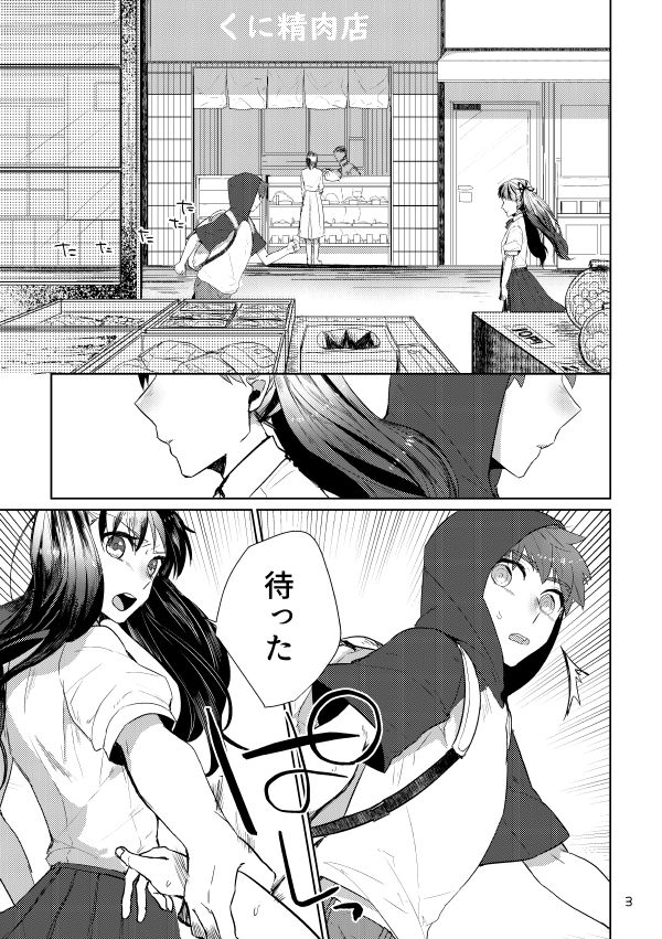 danmacho-kanamasa-puss-puss-fatestay-night-digital