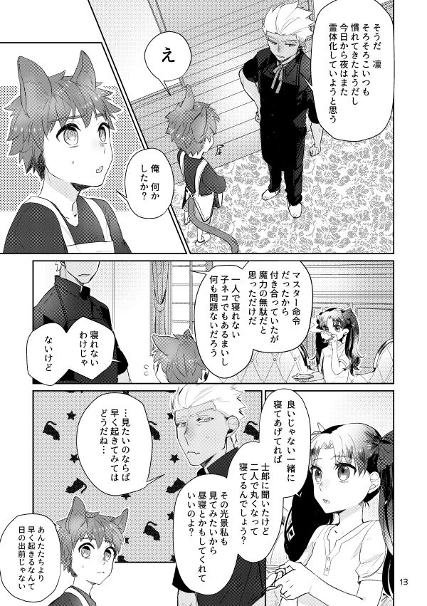 danmacho-kanamasa-puss-puss-fatestay-night-digital