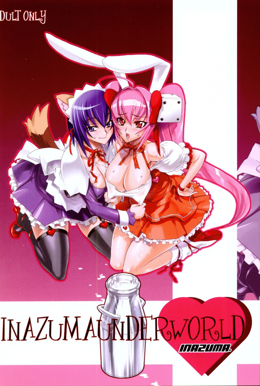 digital-accel-works-inazuma-inazuma-underworld-nurse-witch-komugi-di-gi-charat