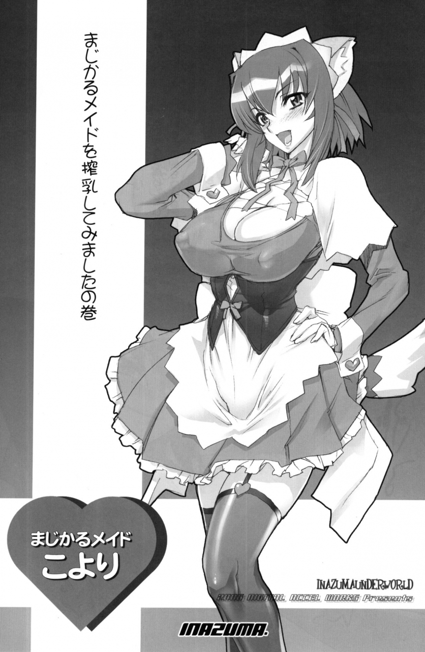 digital-accel-works-inazuma-inazuma-underworld-nurse-witch-komugi-di-gi-charat