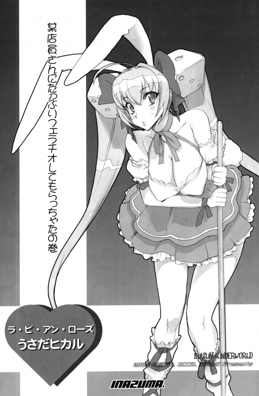 digital-accel-works-inazuma-inazuma-underworld-nurse-witch-komugi-di-gi-charat