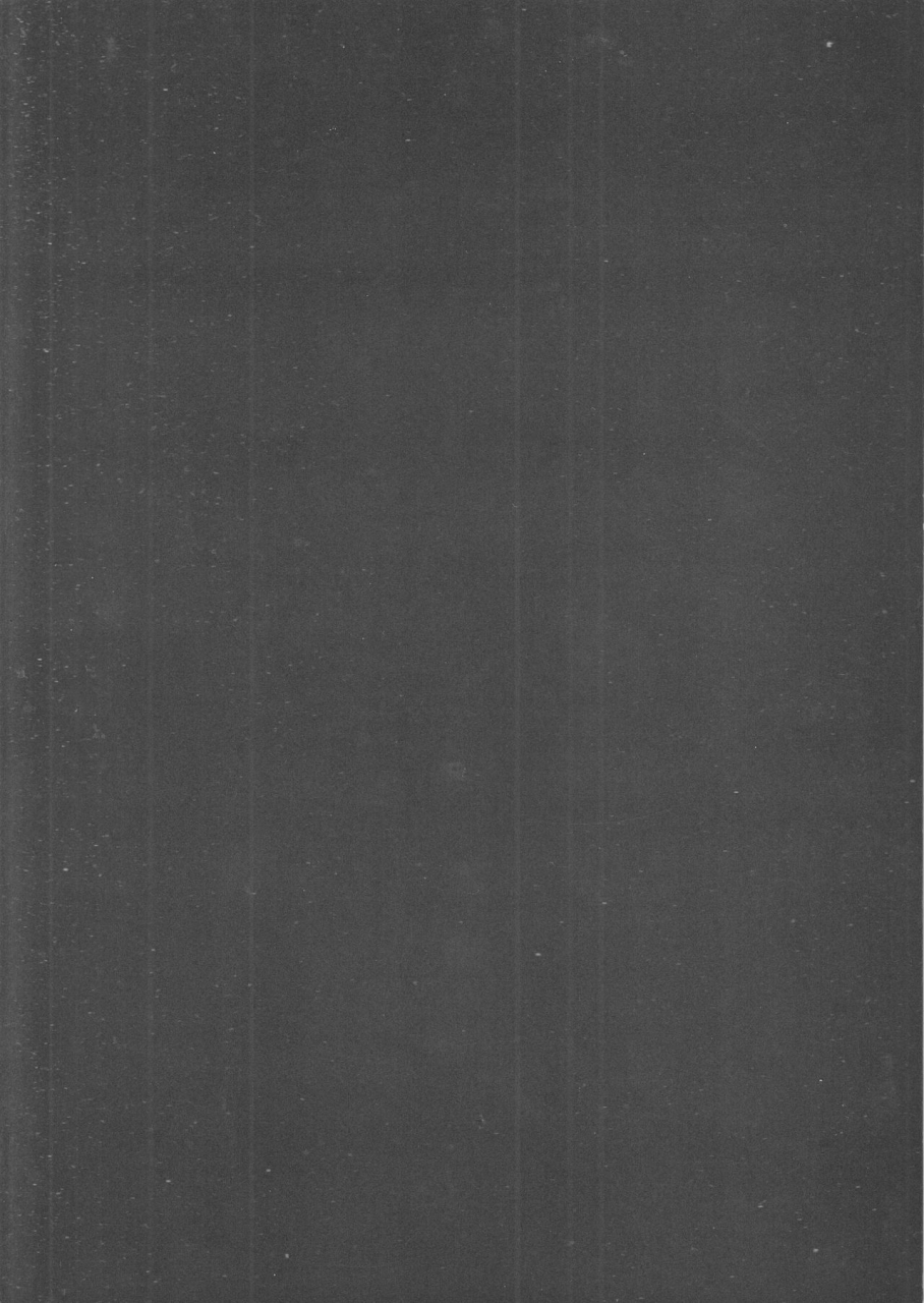 harucc16-plastics-kinari-super-young-pokemon-black-and-white-english-otokonoko-scans