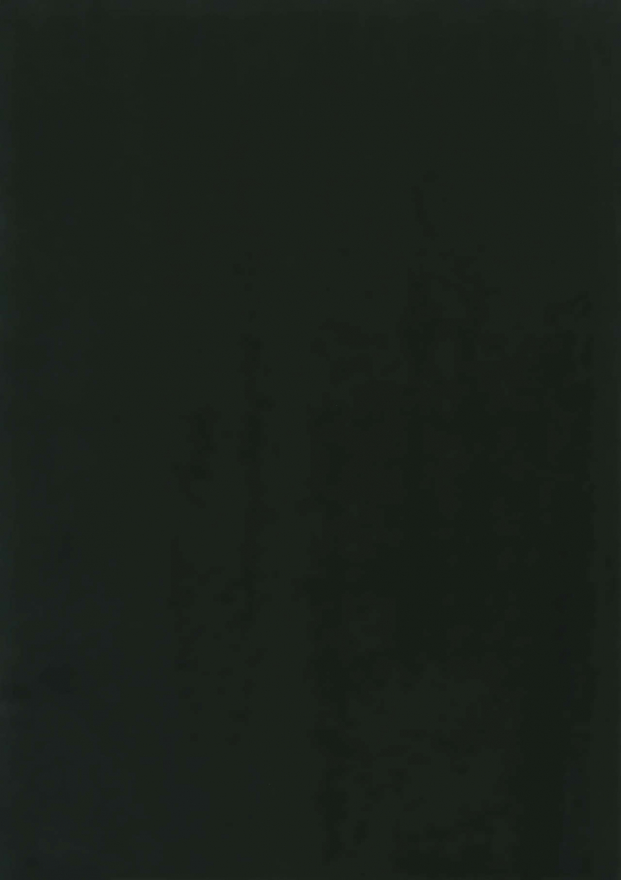 love-forgiven-2-kuroquis-kuro-something-white-meitantei-conan-english-yuutas-blog