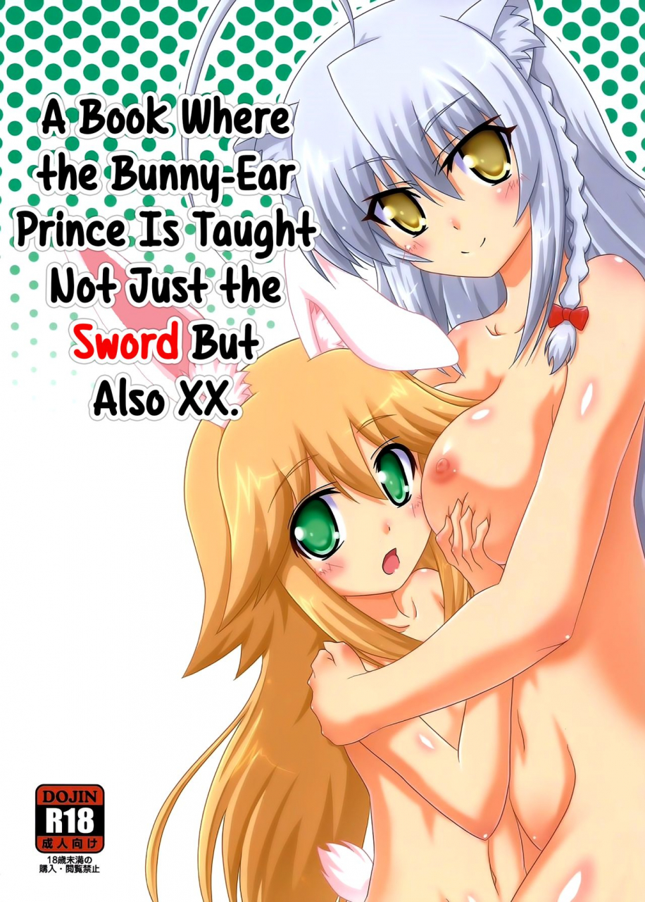nanoha-days-4-serenta-bom-usamimi-ouji-ni-ken-dake-de-naku-xx-made-oshiechau-hon-a-book-where-the-bunny-ear-prince-is-taught-not-just-the-sword-but-also-xx-dog-days-english-ehcove