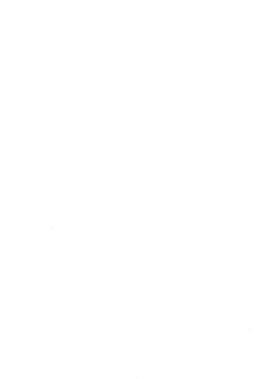 reitaisai-14-hadantorque-torque-shiawase-na-kuroneko-touhou-project-english