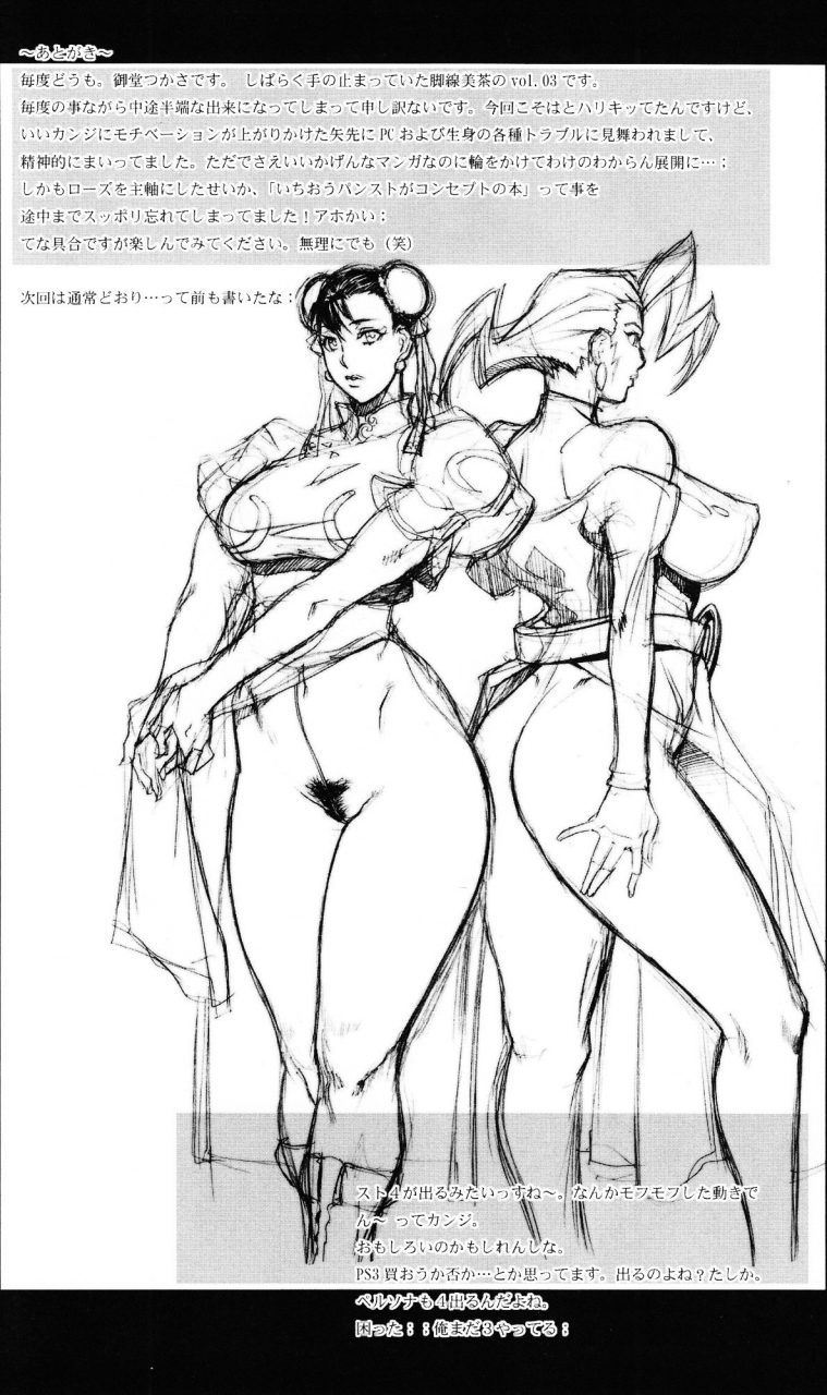 sc40-g-panda-midoh-tsukasa-kyakusenbi-cha-vol-03-street-fighter-english