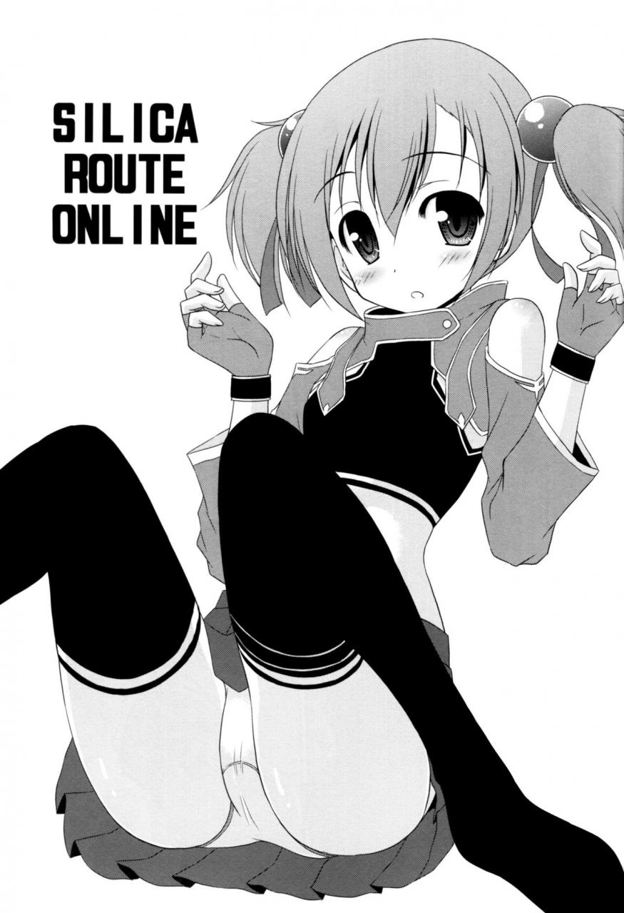 sc57-cool-palace-suzumiya-kazuki-silica-route-online-sword-art-online-english-ehcove