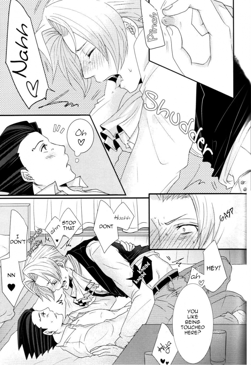 sabaki-no-niwa-29-nichijou-cinema-asahi-sensitive-honey-gyakuten-saiban-english-yellowmoth