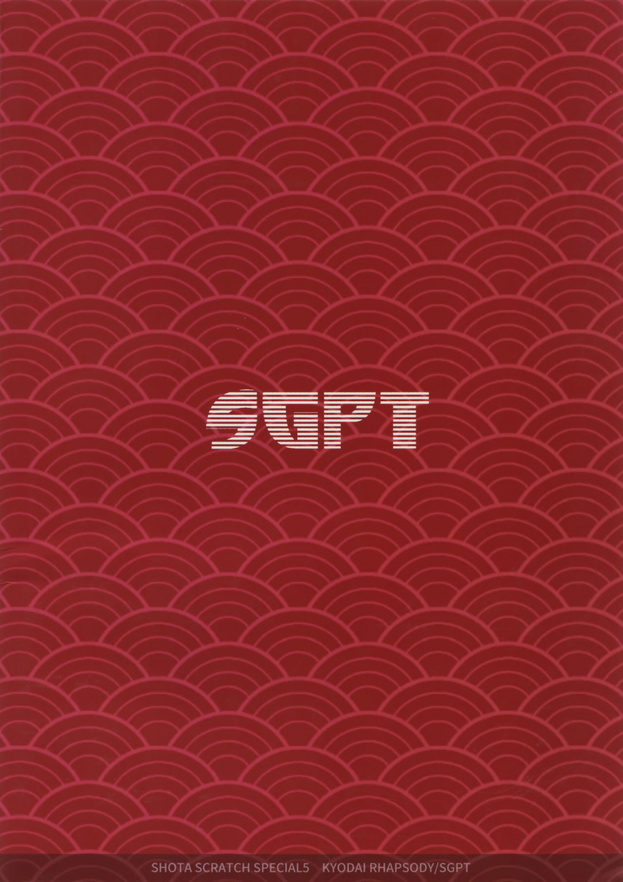 shota-scratch-sp5-sgpt-shiogochi-kyodai-rhapsody-big-hero-6-english-shotachan