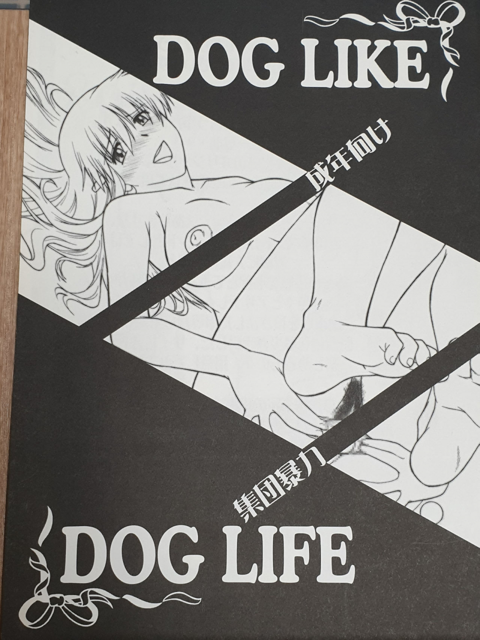 hooliganism-murasaki-syu-collection-of-short-stories-camera-version