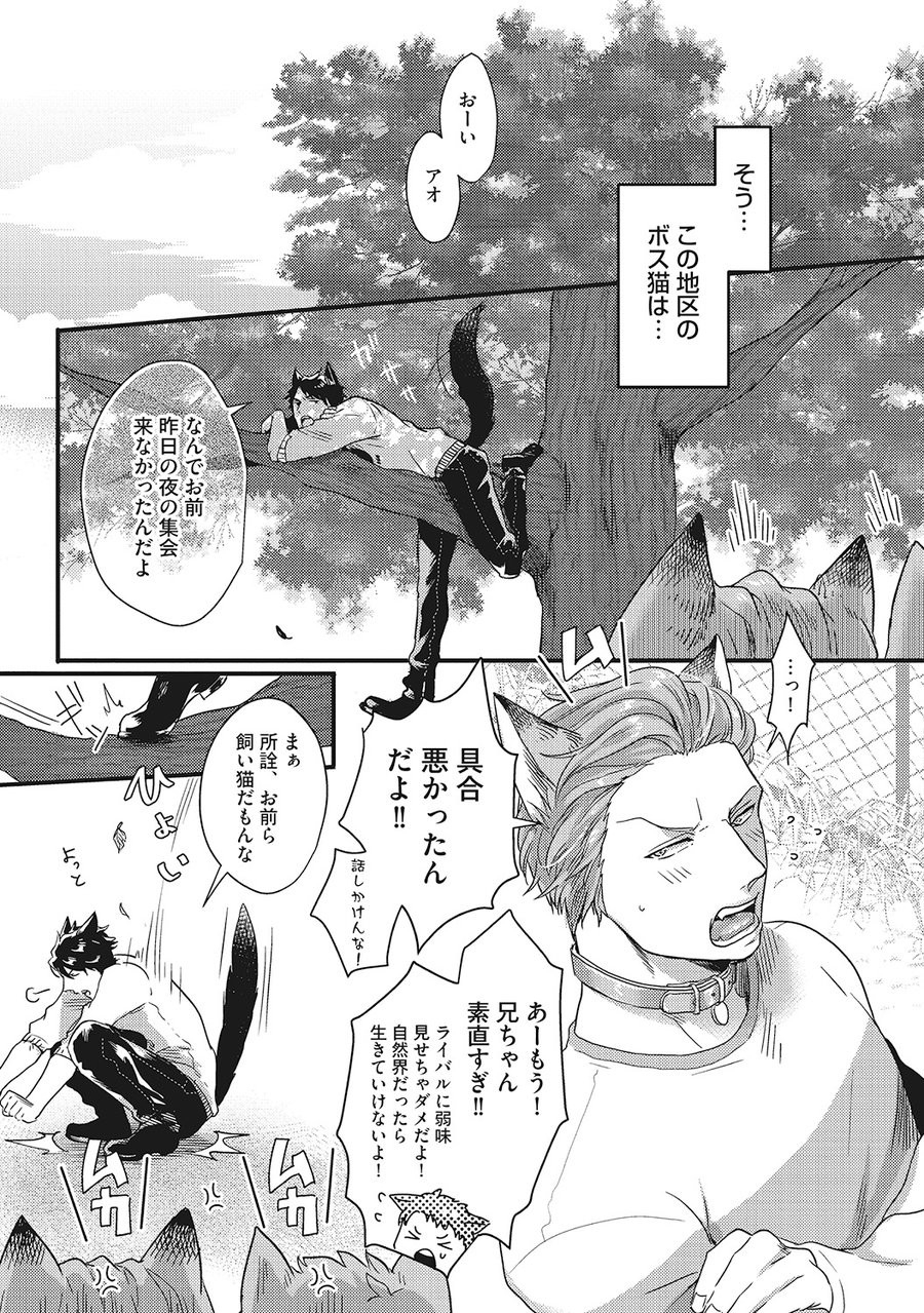 ikuyasu-hatsujou-kemono-biyori-ongoing