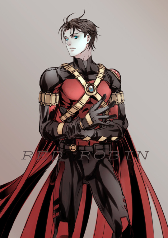 red-robintim-drake