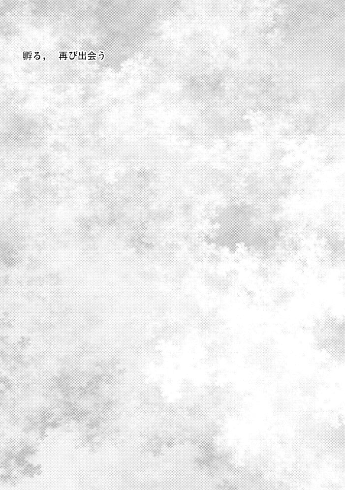 kusuriya-kaeru-basho-zenpen-jecht-final-fantasy-x-digital