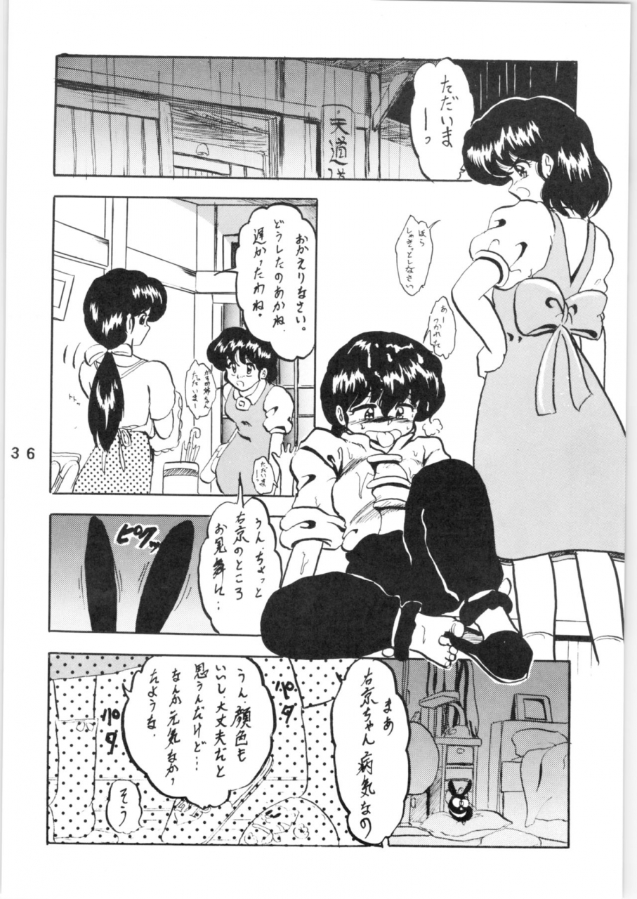 l-gauge-sha-shouryuu-wa-vol-3-ranma-12-1995-04-16