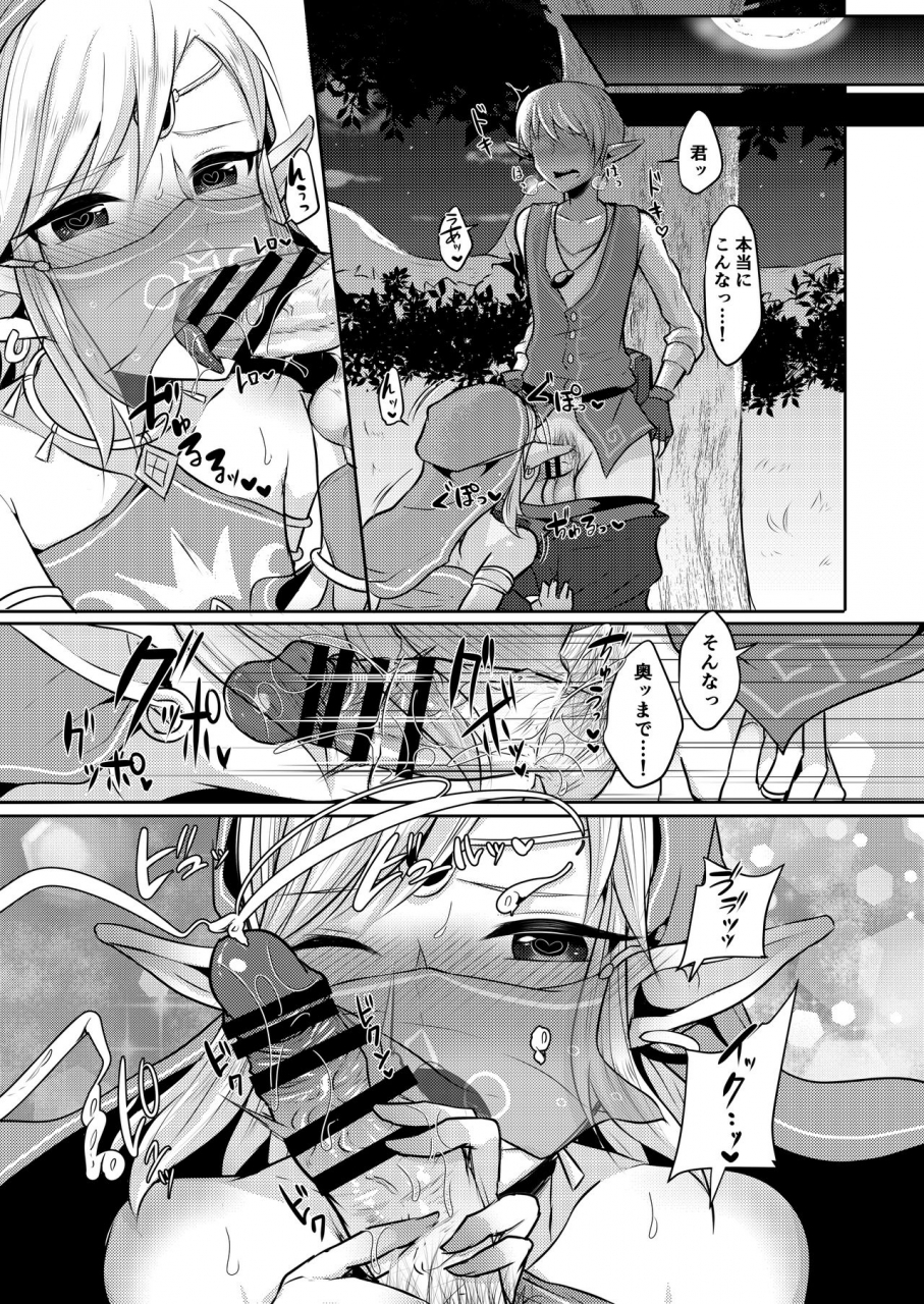 maltese-runrun-yuusha-r-soushuuhen-the-legend-of-zelda-breath-of-the-wild-digital