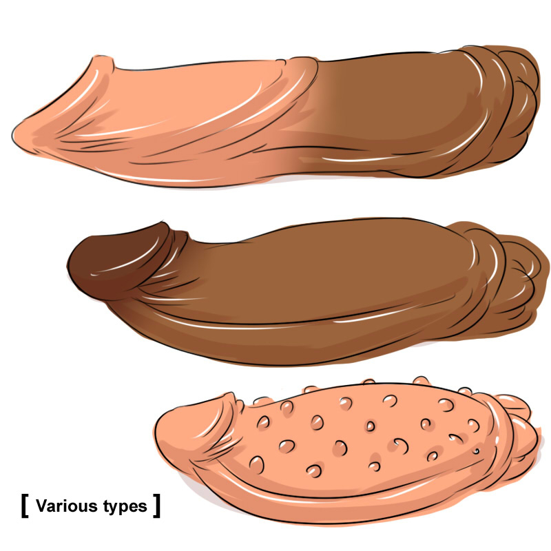 dr-bug-dr-omonemushi-english-ovidius-naso