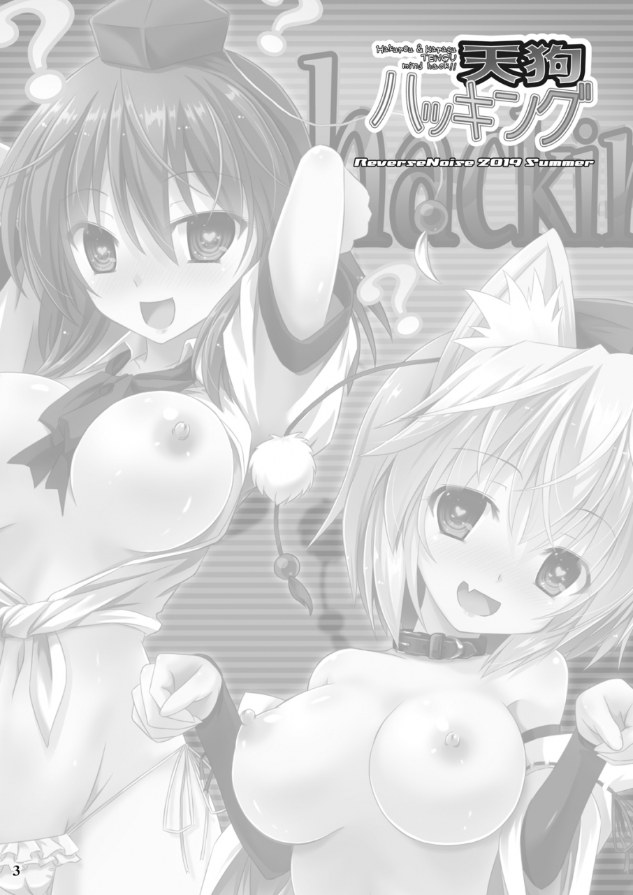 reverse-noise-yamu-tengu-hacking-touhou-project-digital