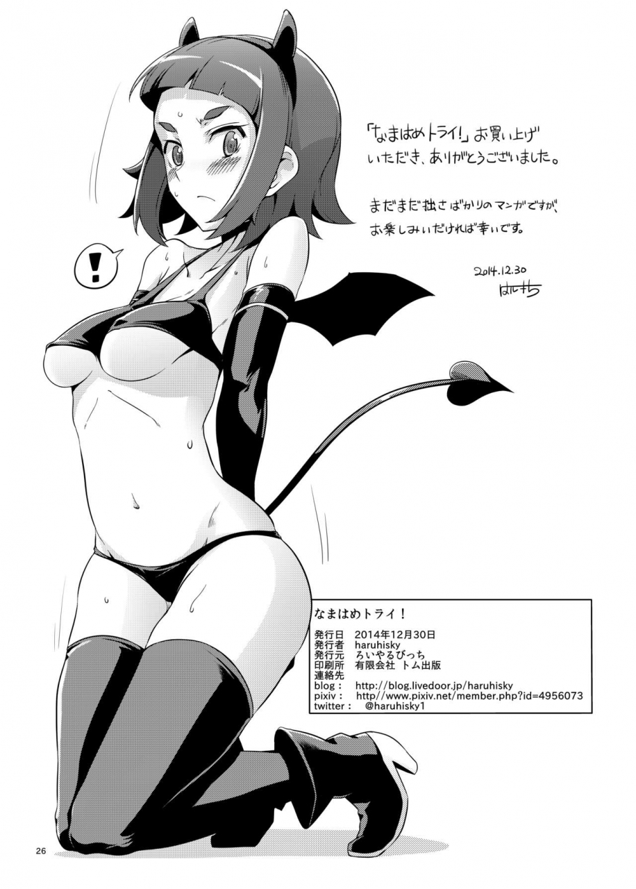 royal-bitch-haruhisky-namahame-try-gundam-build-fighters-try-digital