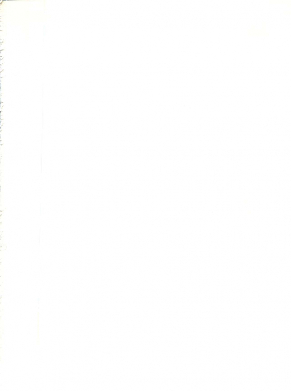 studio-pal-hazuki-kaoru-nanno-koto-kenzaki-mikuri-wanpaku-anime-vol-4-dai-bakuhatsu-various