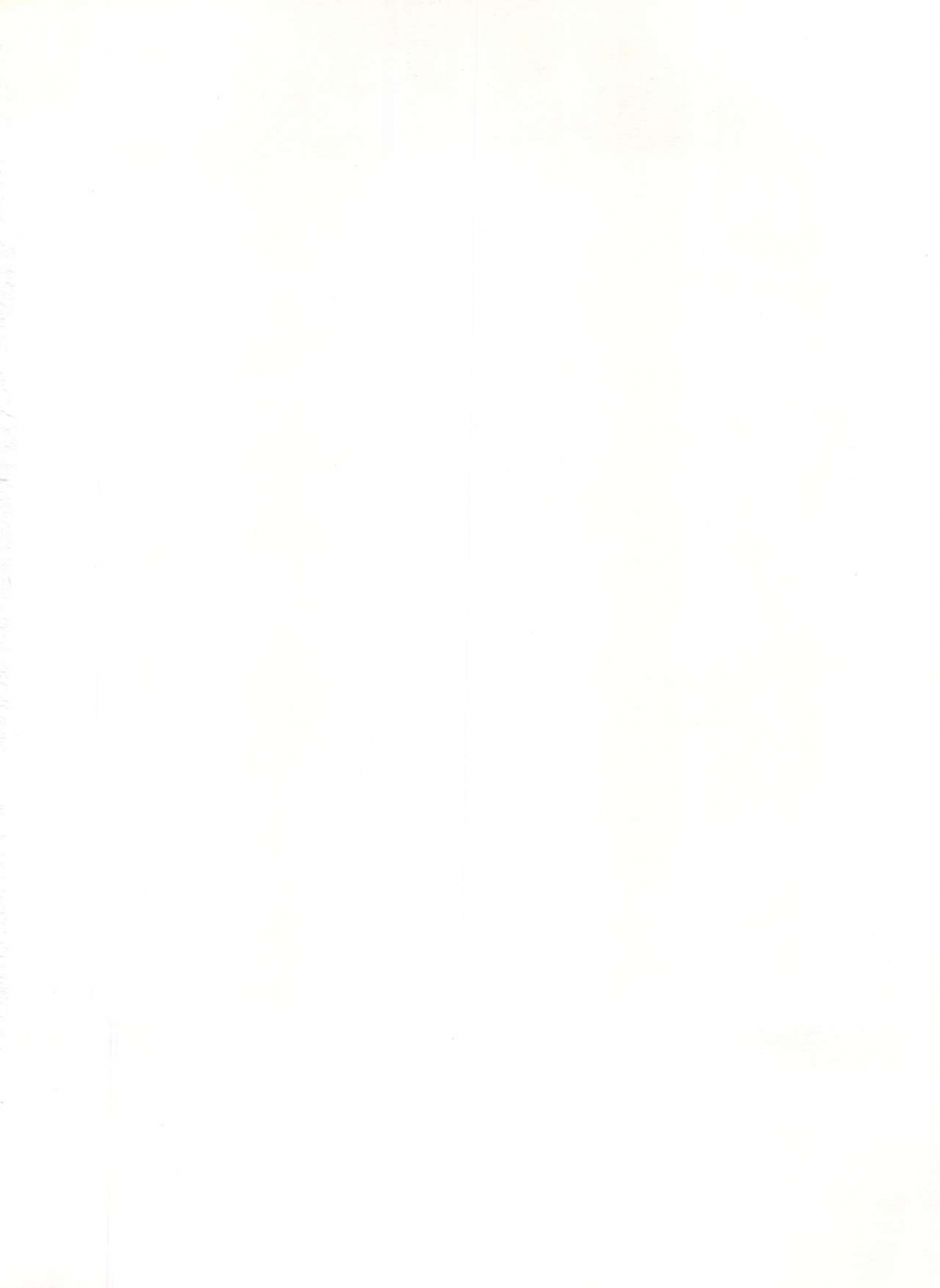 studio-pal-hazuki-kaoru-nanno-koto-kenzaki-mikuri-wanpaku-anime-vol-4-dai-bakuhatsu-various