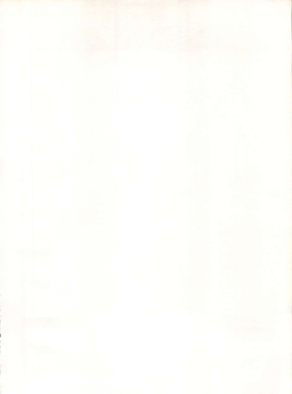 studio-pal-hazuki-kaoru-nanno-koto-kenzaki-mikuri-wanpaku-anime-vol-4-dai-bakuhatsu-various