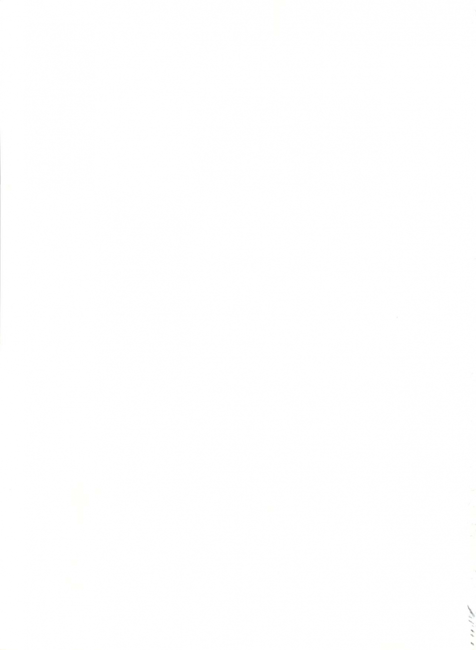 studio-pal-hazuki-kaoru-nanno-koto-kenzaki-mikuri-wanpaku-anime-vol-4-dai-bakuhatsu-various