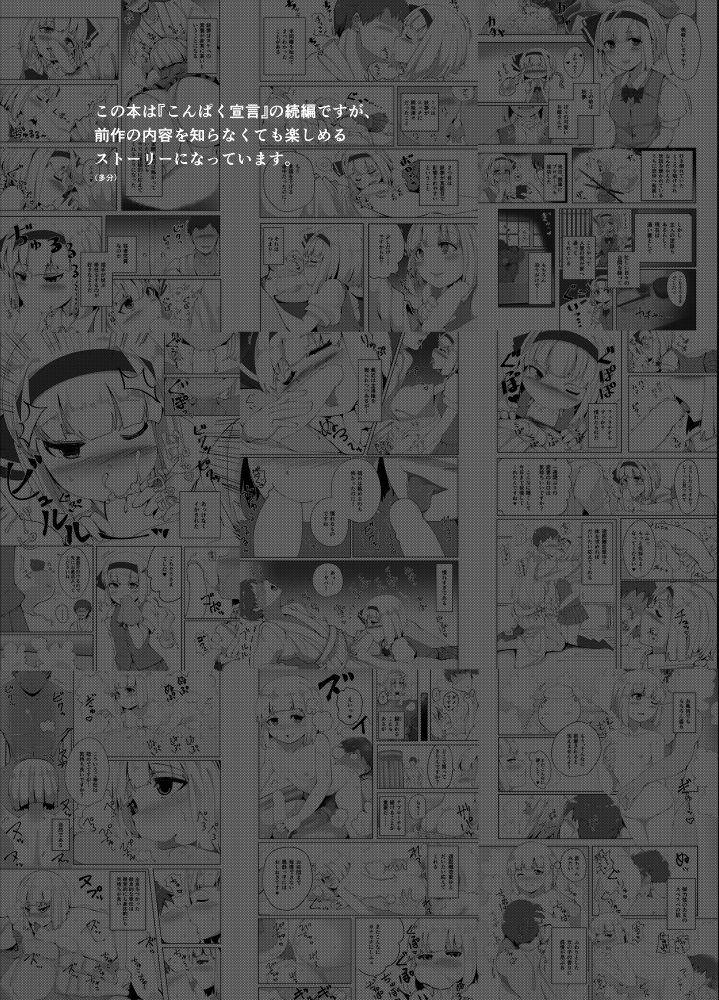 seiun-neopolis-fuji-norihiro-konpaku-sengen-2-touhou-project-digital