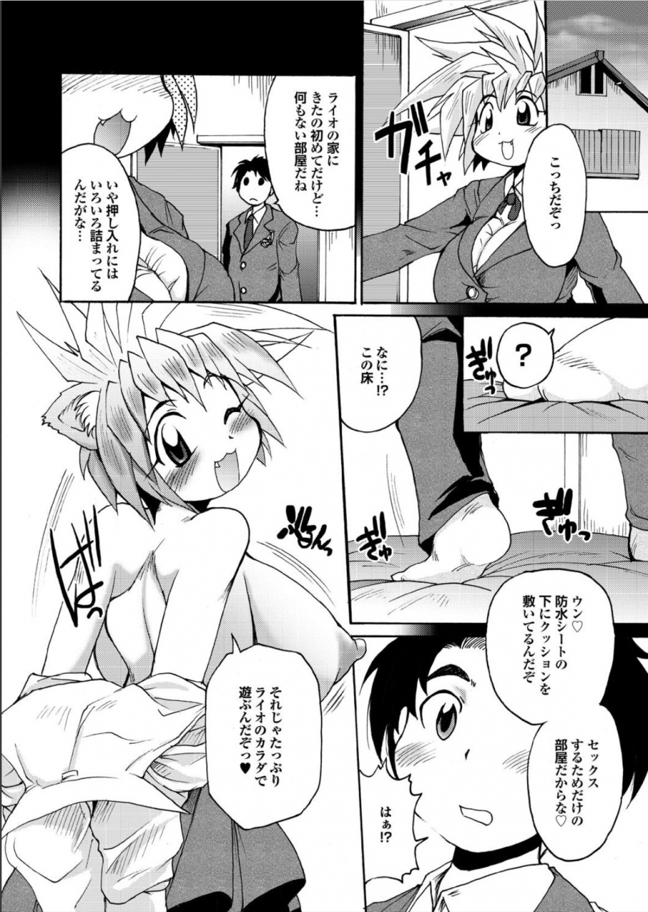 shimanto-youta-lion-heart