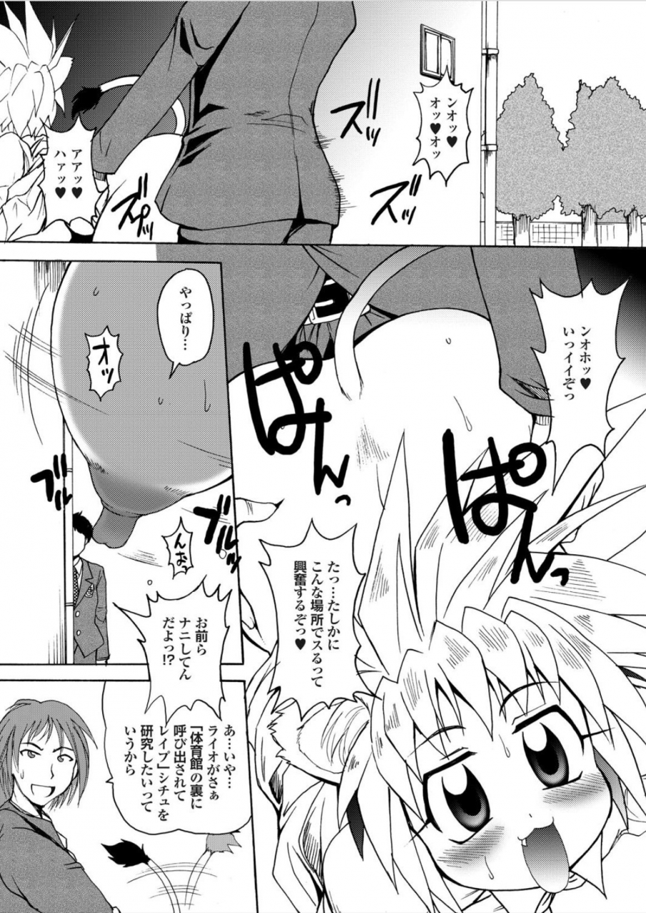 shimanto-youta-lion-heart