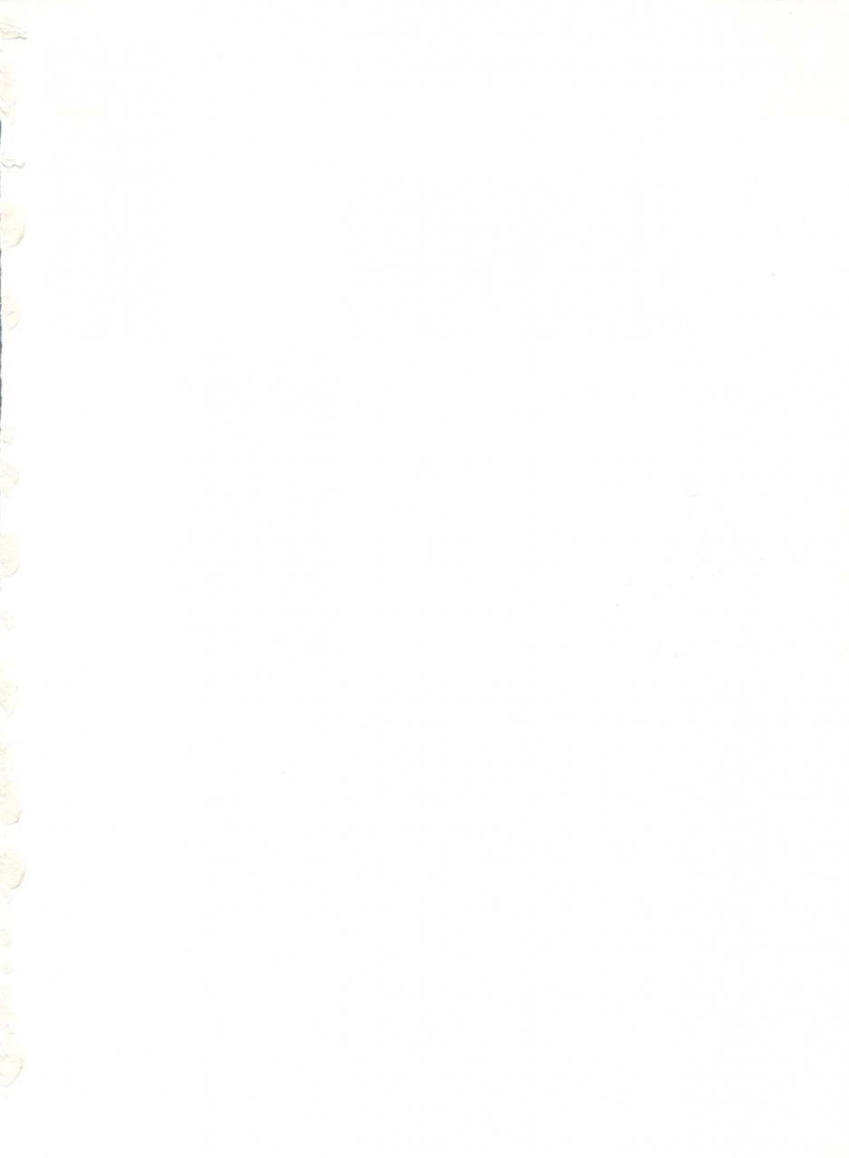 studio-big-x-arino-hiroshi-mousou-theater-2-akazukin-chacha-tokimeki-memorial