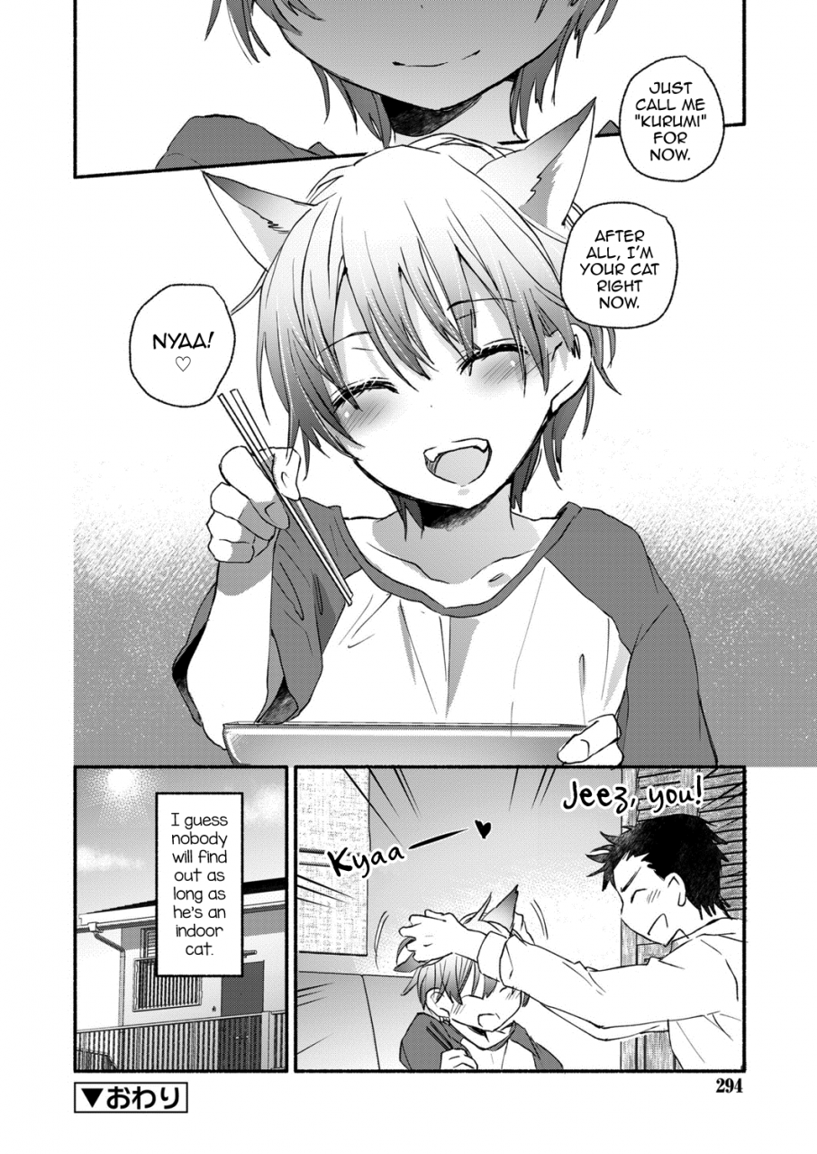 james-hotate-ore-to-neko-no-shiiku-seikatsu-koushoku-shounen-vol-13-english-mysterymeat3-digital