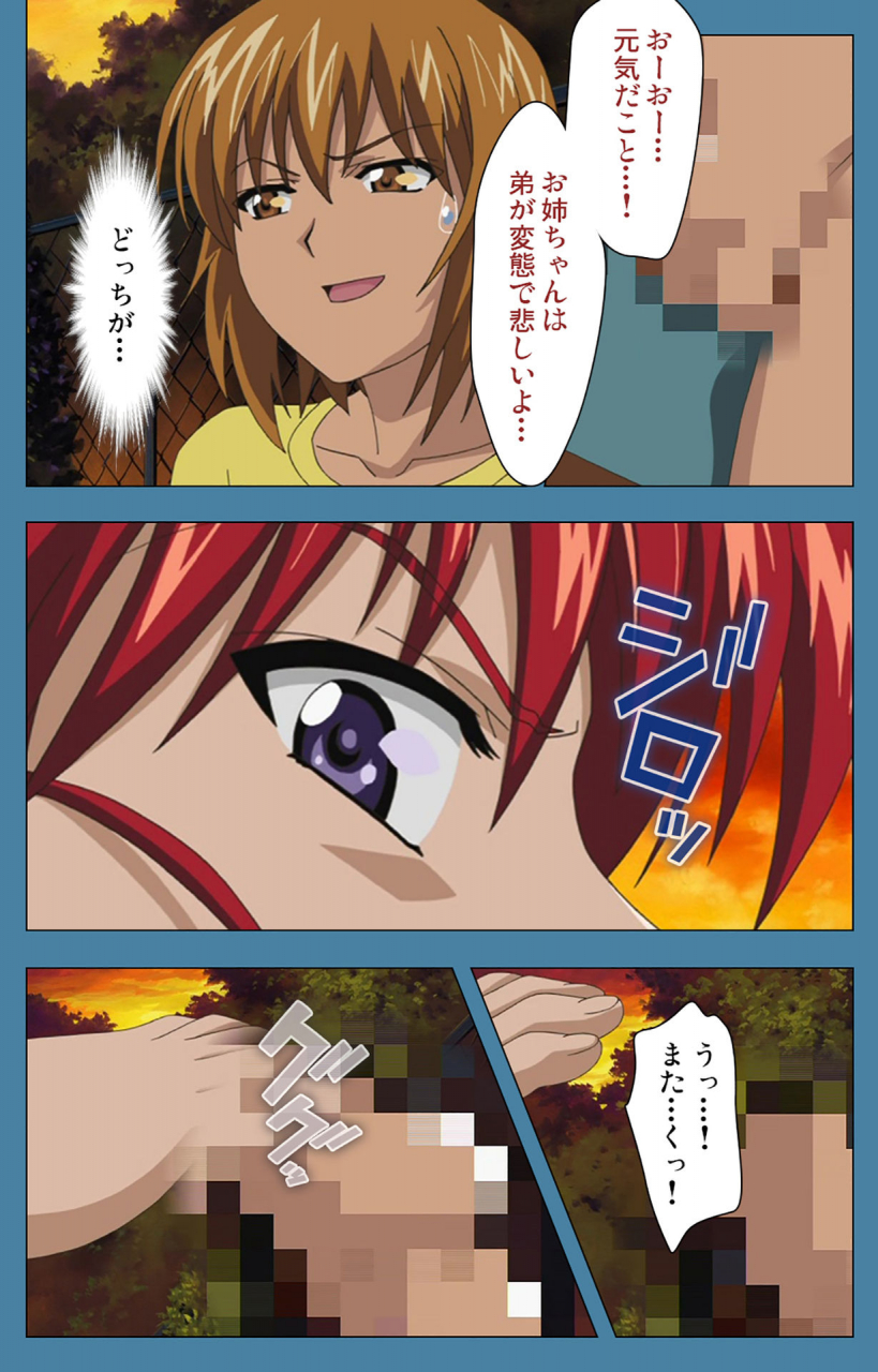 vanilla-full-color-seijin-ban-chikanmonogatari-kanzenban