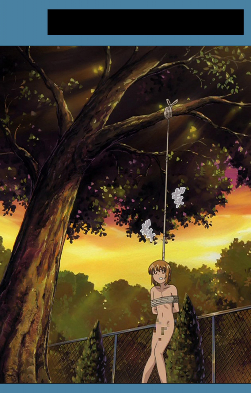 vanilla-full-color-seijin-ban-chikanmonogatari-kanzenban