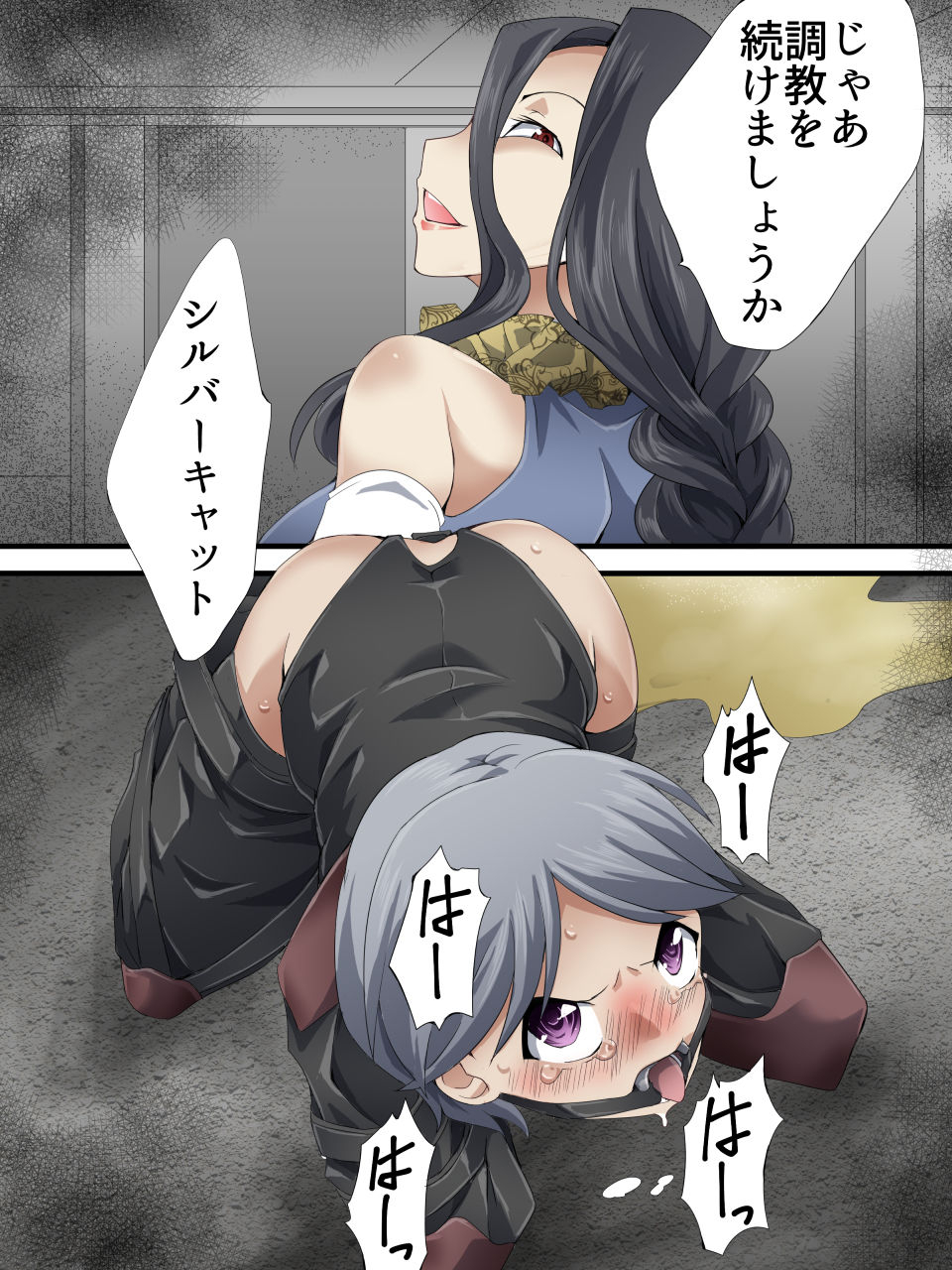 yumekakiya-yakumo-ginjirou-kaitou-silver-cat-manga-ban-dai-6-wa