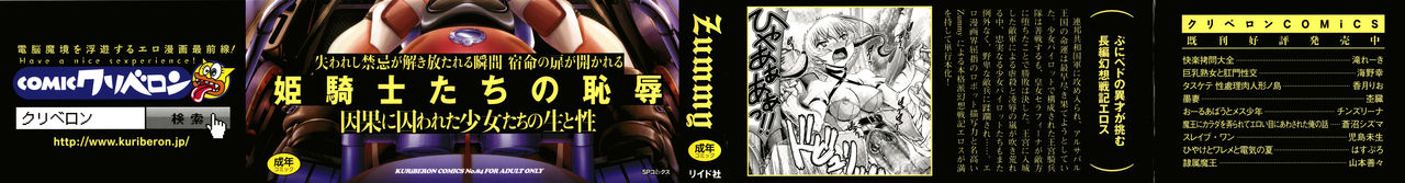 zummy-shinki-strayer