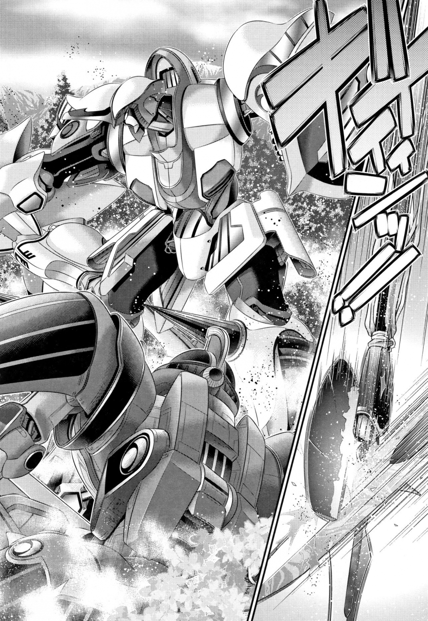 zummy-shinki-strayer