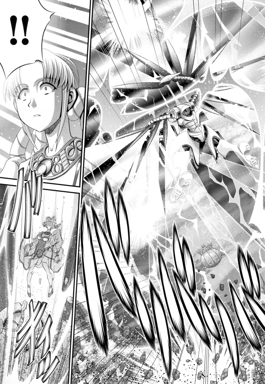 zummy-shinki-strayer