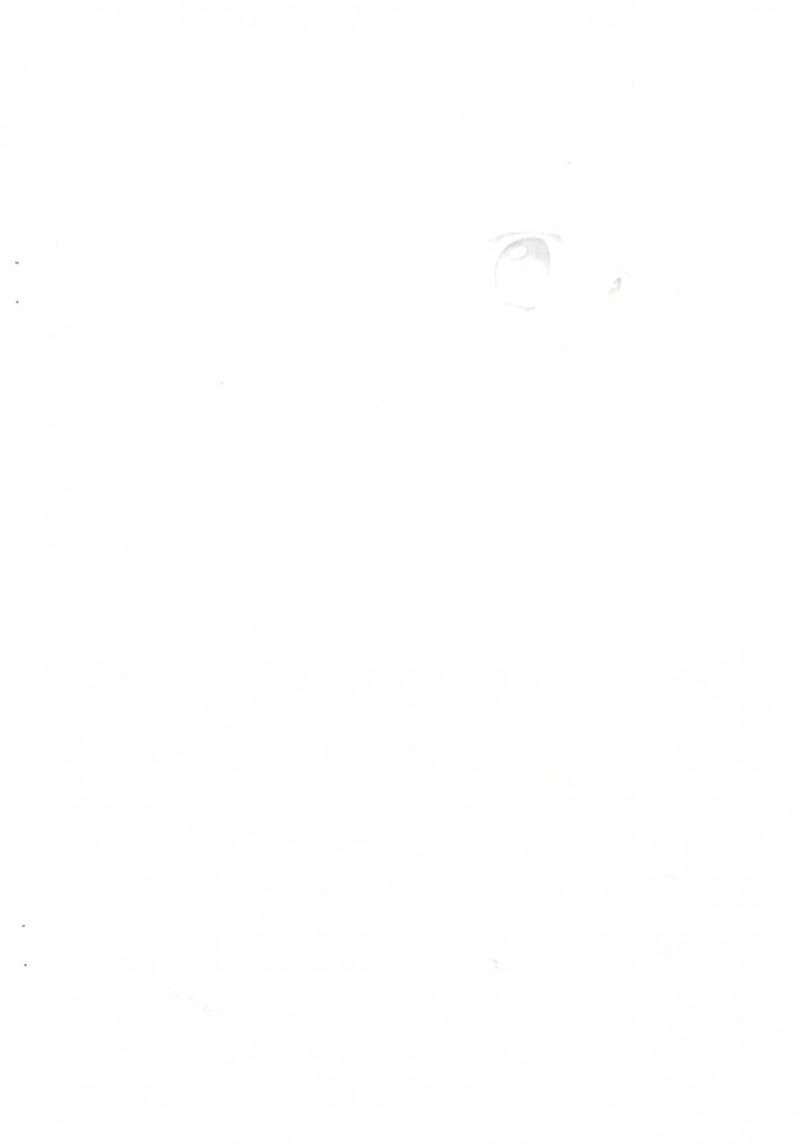 chibitan-chiiko-chibitan-mahou-shoujo-lyrical-nanoha