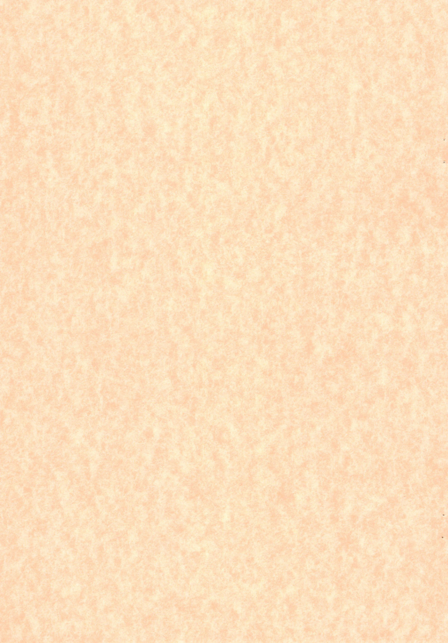 chibitan-chiiko-chibitan-mahou-shoujo-lyrical-nanoha