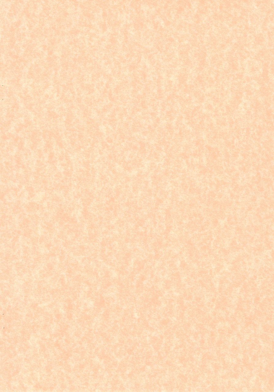 chibitan-chiiko-chibitan-mahou-shoujo-lyrical-nanoha