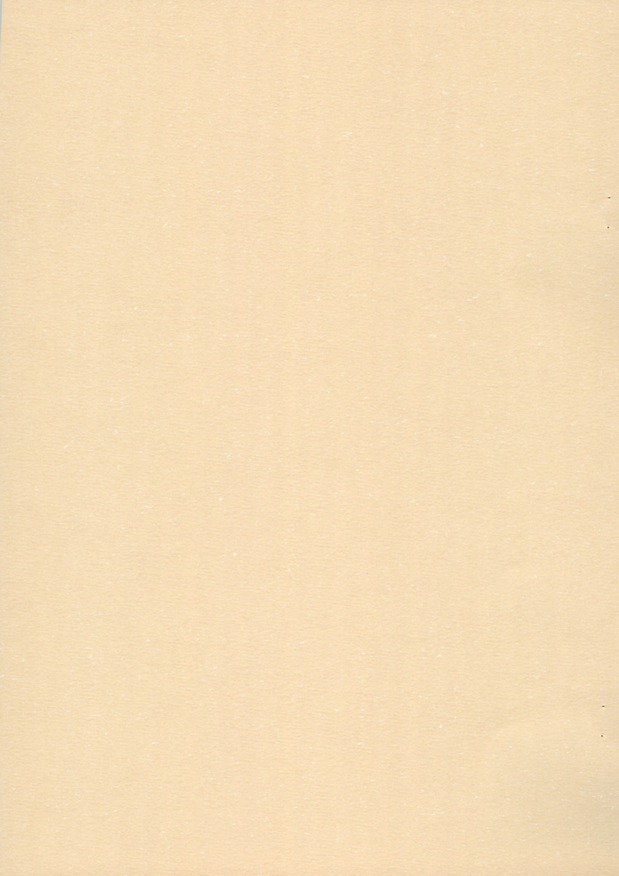 chibitan-chiiko-chibitan-mahou-shoujo-lyrical-nanoha