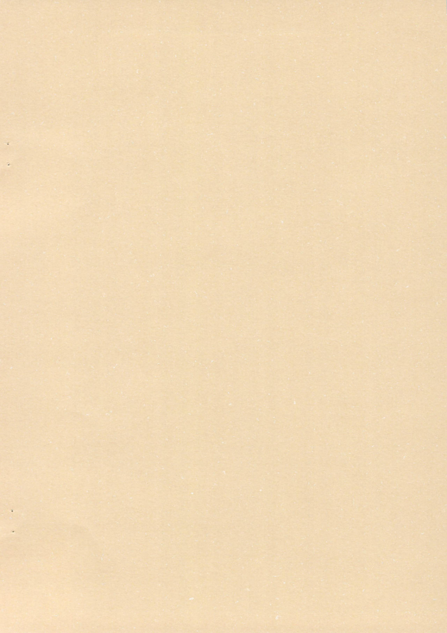 chibitan-chiiko-chibitan-mahou-shoujo-lyrical-nanoha