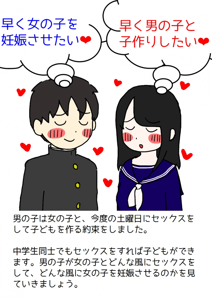 poza-shishunki-no-otokonoko-no-tame-no-seikyouiku-onnanoko-o-ninshin-saseru-tame-no-nakadashi-sex-nyuumon