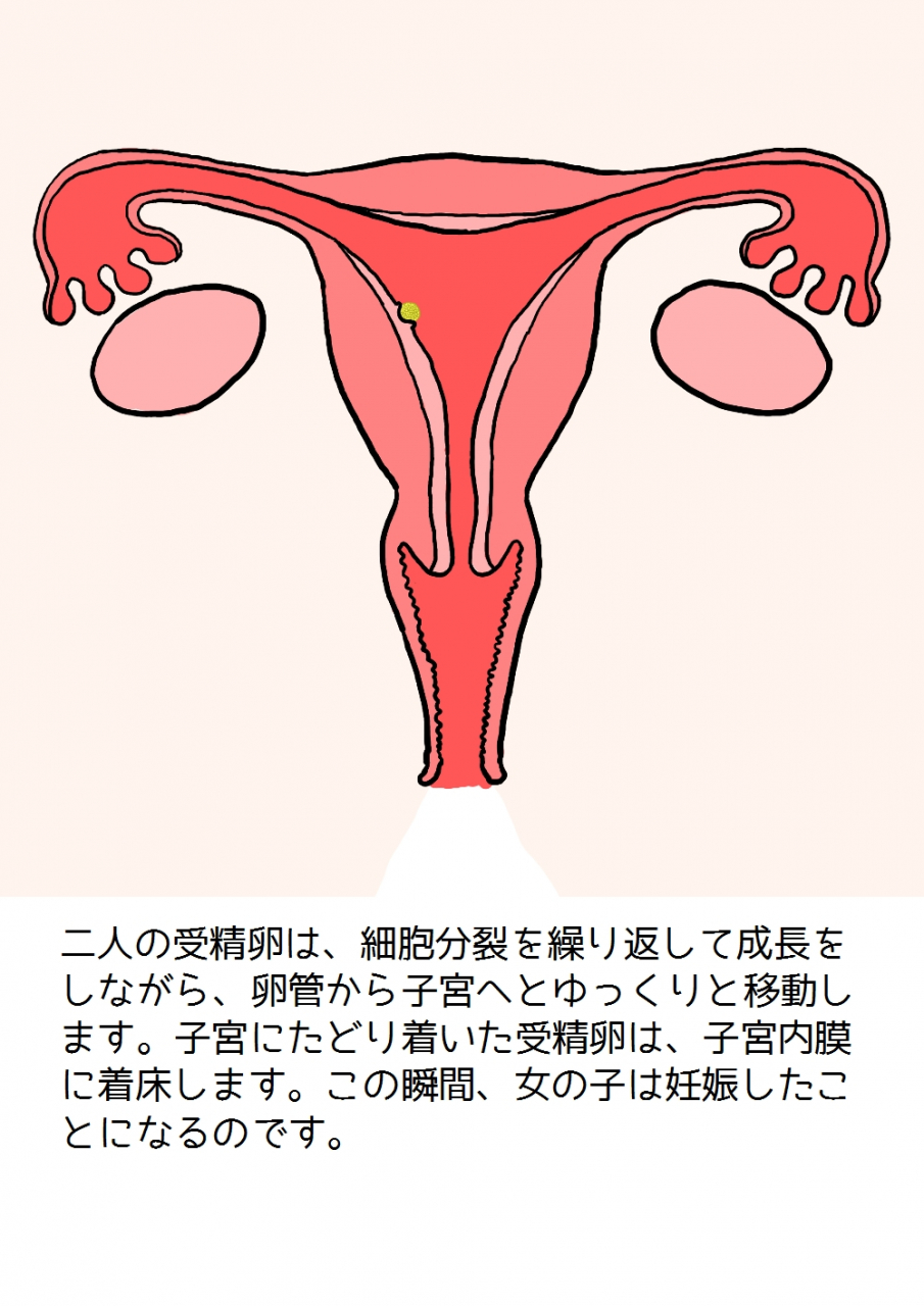 poza-shishunki-no-otokonoko-no-tame-no-seikyouiku-onnanoko-o-ninshin-saseru-tame-no-nakadashi-sex-nyuumon