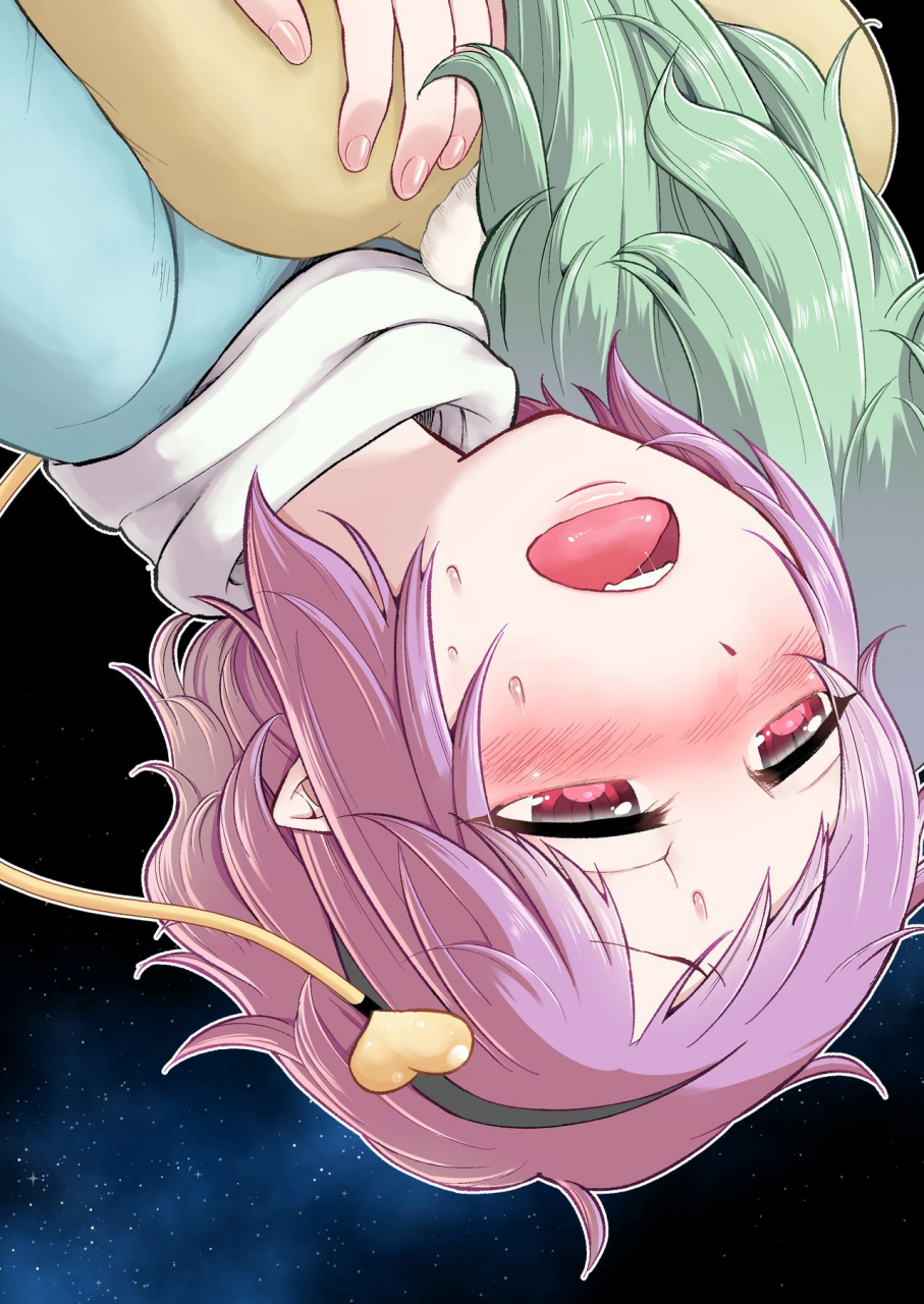 tuiteyukenuyo-zo-zettai-reido-no-soup-touhou-project-digital